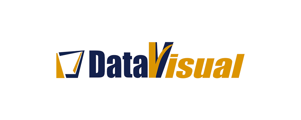 DataVisual Logo